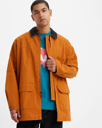 Image result for Sutera levis