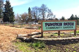 Spokane valley's premiere gift shop, garden center & nursery. Community Gardening A Delicious Pursuit To Feed The Hungry And The Soul Spokane County Library District
