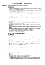Senior Inside Sales Representative Resume Samples Velvet Jobs