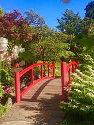 Pin On Hobart Japanese Garden