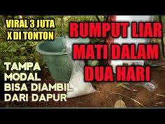  64 Ide Yang Saya Simpan Kiat Diet Sehat Kiat Kebun Organik Resep Masakan Belanda