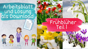 Die einnistung in die gebärmutter. Pin Auf Sachunterricht Grundschule Unterrichtsmaterialien Contoh Kumpulan