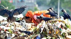 কঠিন বর্জ্য ব্যবস্থাপনায় অত্যাধুনিক প্রযুক্তি ব্যবহার জয়নগর পুরসভার, –  Truth Of Bengal | Latest Bengali News Headlines | বাংলার খবর