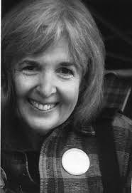 Officials announce expanded bus service for SSI