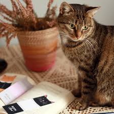 We did not find results for: Kocie Zakladki Do Ksiazek Do Wydrukowania Mavelo