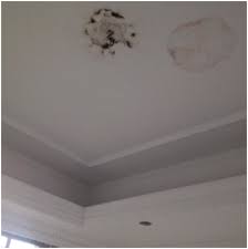 Mold on bathroom ceilings is one of the most common problems in the house. What Should I Do If The Ceiling Is Moldy What Are The Treatment Methods Infinity For Cement Equipment