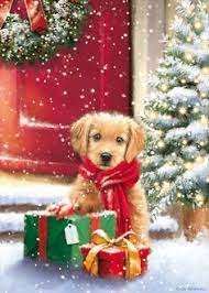 Amazing winter scenery.landscape with flowing river. 350 Best Beautiful Christmas Scenes Ideas In 2021 Christmas Scenes Beautiful Christmas Christmas