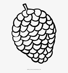 To clarify the list of pictures that you some of the coloring page names are maple leaf patterns large medium small templates fall projects leaf candle and pine cones coloring pinecone. Pine Cone Coloring Pages Drawing Png Image Transparent Png Free Download On Seekpng