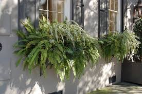30 bright and beautiful window box planters. World Is More Beautiful With Plants In Window Boxes