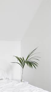 You can also upload and share your favorite background hd white. Iphone White Aesthetic Lockscreen Hd Art Wallpaper White Aesthetic Aesthetic Wallpapers Art Wallpaper