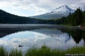 We did not find results for: Trillium Lake Campground Mount Hood Oregon Hikespeak Com