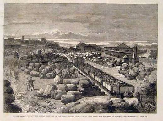 Cotton Green #Bombay, c. 1870 Bourne & Shepher