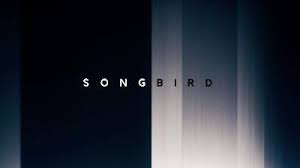 Object being modified by the action. Adam Goodman Michael Bay Pandemic Lockdown Thriller Songbird Deadline