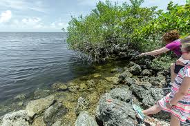 From luxurious villas with a balcony to spacious apartments in miami's downtown area, and spacious houses to cozy bungalows situated just minutes from the beach. Visiting Biscayne National Park And Why You Shouldn T Put It Off Along For The Trip