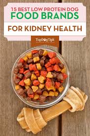 We reviewed dozens of low protein dog foods to identify the best of the best. The Best Low Protein Dog Foods For Kidney Liver Health Low Protein Dog Food Healthy Dog Food Recipes Make Dog Food