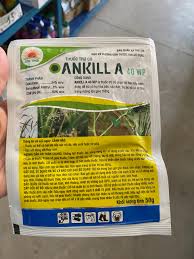 Ankill A 40WP