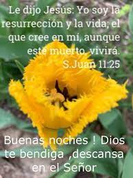 Pin De Sam En Buenas Noches Gifs De Buenas Noches Palabras De Bendicion Textos Biblicos