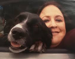 Pit boxer mix passes away at 12 years old