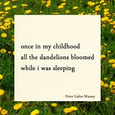 Check spelling or type a new query. Haiku All The Dandelions Bloomed Peter Galen Massey