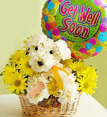 Reply to get well soon gift basket. Sick As A Dog From 1 800 Flowers Com In 2021 Get Well Flowers Puppy Flowers Animal Flower Arrangements