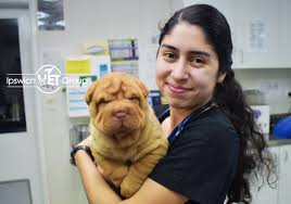 Today, we combine a legacy of experience with the latest technology in veterinary medicine to look. Booval Vet Hospital Vet Ipswich Caring For Local Pets