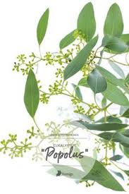 Eukalyptus Online Bestellen Schnittblumenversand Pflanzenblatter Pflanzen Eukalyptus
