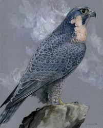 Athena Dreams By Windfalcon In 2020 Bird Art Art Bird Painting Acrylic