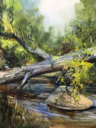 Maybe you would like to learn more about one of these? Yvonne Pecor Mucci Watercolor Artist