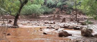 Nach Sturzflut im Grand Canyon: Ein Toter und mehrere Vermisste — tagesschau.de