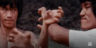 Imitation is the Sincerest Form of Flattery: The Bizarre World of  Bruceploitation