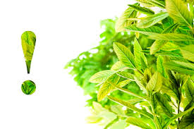 Hormon tumbuhan atau sering disebut fitohormon merupakansekumpulansenyawa organikbukan hara(nutrien), baik yang terbentuk secara alami maupun buatan. Halaman 172 Gratis Tumbuh Tumbuhan Foto Piqsels