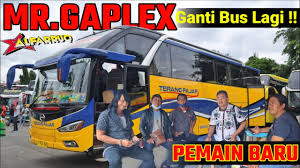Tonton sampai habis yaa gais videonya • • • • download link : Kenapa Mr Gaplek Al Farruq Pindah Bus Terang Fajar Line Perdana Kuningan Youtube