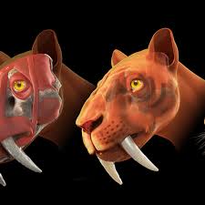 Ancient Saber-Toothed Creature Lived During 'The Great Dying' | Cnn