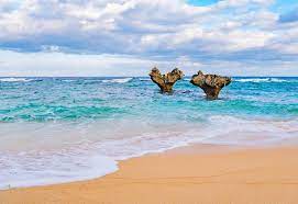 Total okinawa is okinawa's number 1 english online directory with over 300 places listed and reviewed as well as our own staff of seven writers and editors who contribute professional articles and reviews. 12 Best Beaches In Okinawa Planetware