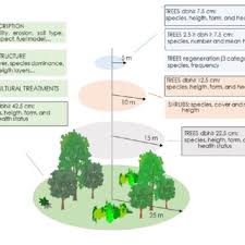 Every piece of land you for example, sites on national forest system lands are protected by the archaeological you should also strongly consider joining a metal detecting club as they likely already have relationships. Pdf The Spanish National Forest Inventory History Development Challenges And Perspectives