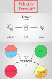 Terroir Definition For Wine Wine Folly Wine Book Wine Country Gift Baskets Wine Education