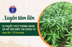 Đường tam trinh, phường yên sở, quận hoàng mai, hà nội. 9h3dsz6cswbdtm