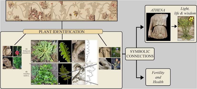 Plant biodiversity and its meaning at the origin of the peopled scrolls  friezes: data from the Castrum Minervae sanctuary (Castro- Lecce, Italy) |  Rendiconti Lincei. Scienze Fisiche e Naturali | Springer Nature Link