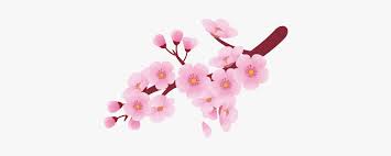 This file was uploaded by swgoyleic. Pattern Drawing Cherry Blossom Flower Cherry Blossom Clipart Hd Png Download Transparent Png Image Pngitem