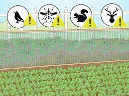 When you're ready to dig, use a garden trowel to make holes for your plants. How To Plant A Garden 10 Steps With Pictures Wikihow