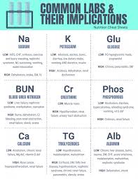 Common Clinical Nutrition Labs Nutrition Cheat Sheets In 2020 Nursing School Survival Nurse Teaching Nursing School Notes
