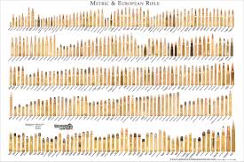 22 Symbolic Rifle Calibers By Size Chart