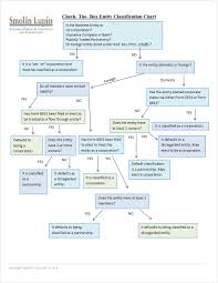 Check The Box Entity Classification Chart Smolin