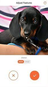 Download talking photos from meing for pc free at browsercam. Download Talking Photos From Meing For Android Free Talking Photos From Meing Apk For Phone Mob Org