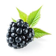 Hype check of blackberry limited against headlines and impact analysis on future prices. Blackberry Isolated On White Stock Photo Blackberry Stock Images Free Cupcake Images