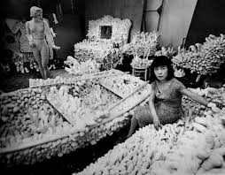 Image result for kusama aggregation