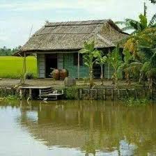  From Dong Thap Vietnam Rumah Pedesaan Pedesaan Kehidupan Pedesaan