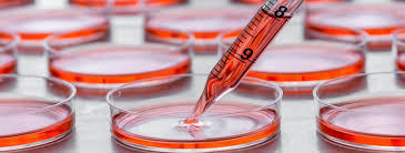 Aktualności | Hemostaza.edu.pl