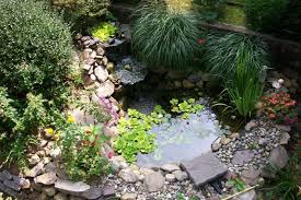 Gartenteiche Bereichern Ihren Garten Mit Einer Magischen Wirkung Kleiner Gartenteich Kleiner Garten Gartenteich