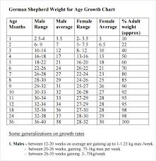 German Shepherd Growth Chart Height Best Picture Of Chart